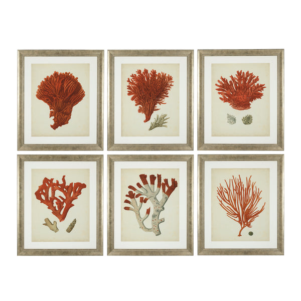 Prints Antique Red Corals Set Of 6