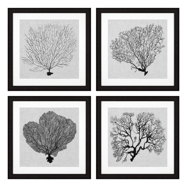 Prints Shadow Sea Fans Set Of 4