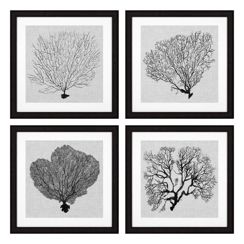 Prints Shadow Sea Fans Set Of 4