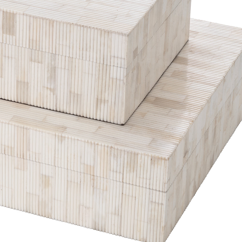 Box Scoop S